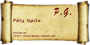 Pály Gyula névjegykártya